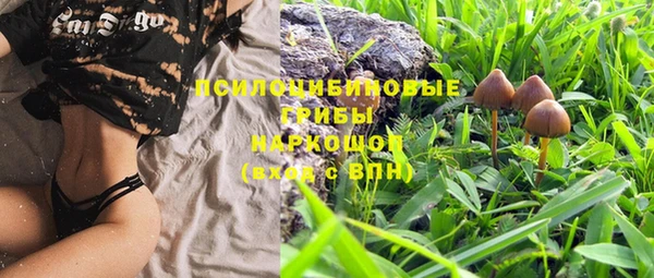 каннабис Чердынь