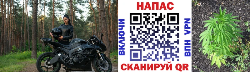 Конопля план  Купить где  Протвино 